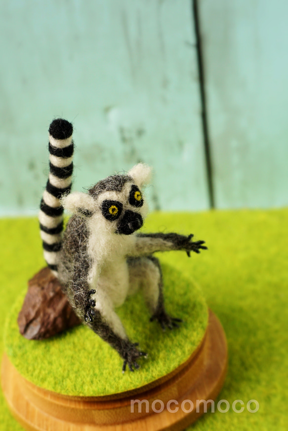 フェルティング彫刻petit・U動物園シリーズ　ワオキツネザルのオカヤン　☆羊毛フェルティング☆あかころ☆ 