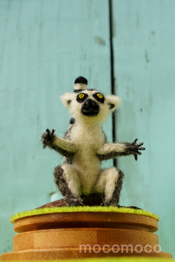 フェルティング彫刻petit・U動物園シリーズ　ワオキツネザルのオカヤン　☆羊毛フェルティング☆あかころ☆ 