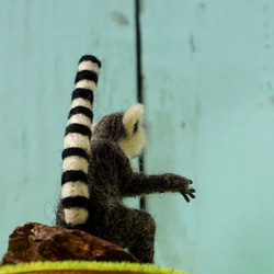 フェルティング彫刻petit・U動物園シリーズ　ワオキツネザルのオカヤン　☆羊毛フェルティング☆あかころ☆ 16枚目の画像