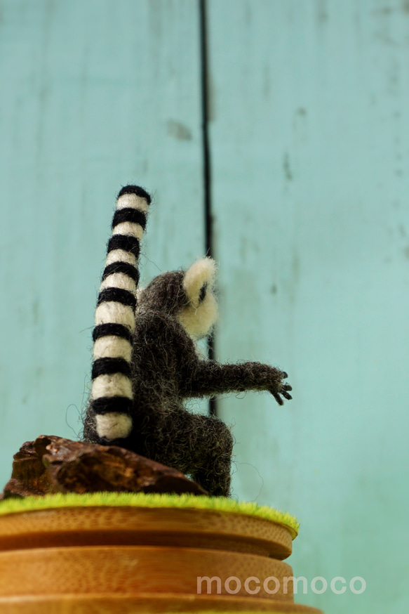 フェルティング彫刻petit・U動物園シリーズ　ワオキツネザルのオカヤン　☆羊毛フェルティング☆あかころ☆ 16枚目の画像