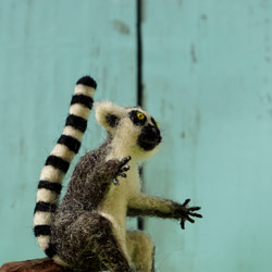 フェルティング彫刻petit・U動物園シリーズ　ワオキツネザルのオカヤン　☆羊毛フェルティング☆あかころ☆ 15枚目の画像