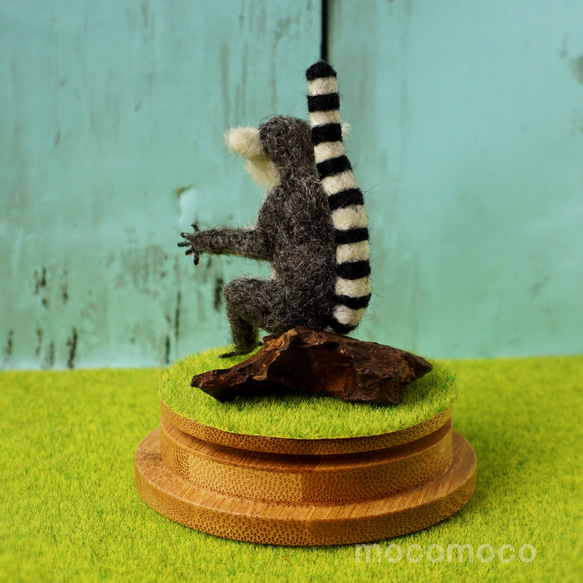 フェルティング彫刻petit・U動物園シリーズ　ワオキツネザルのオカヤン　☆羊毛フェルティング☆あかころ☆ 