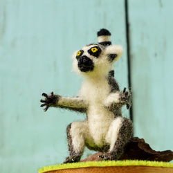 フェルティング彫刻petit・U動物園シリーズ　ワオキツネザルのオカヤン　☆羊毛フェルティング☆あかころ☆ 13枚目の画像