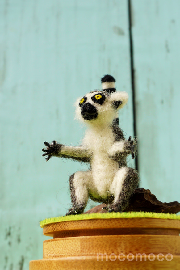 フェルティング彫刻petit・U動物園シリーズ　ワオキツネザルのオカヤン　☆羊毛フェルティング☆あかころ☆ 13枚目の画像