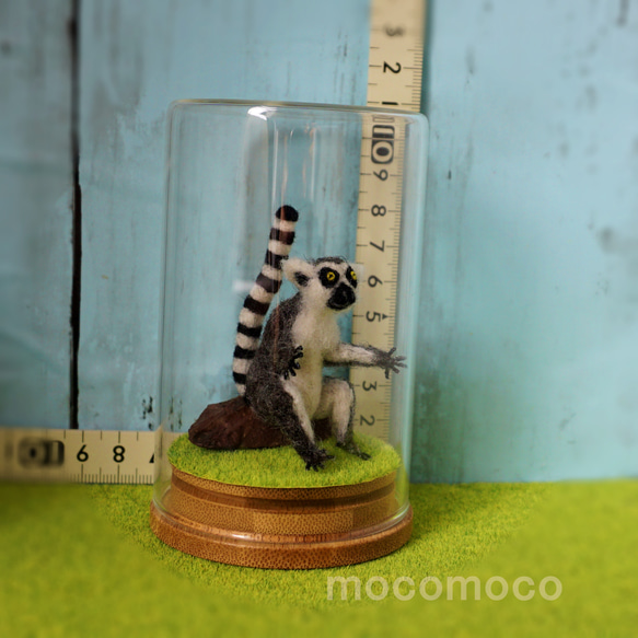 フェルティング彫刻petit・U動物園シリーズ　ワオキツネザルのオカヤン　☆羊毛フェルティング☆あかころ☆ 