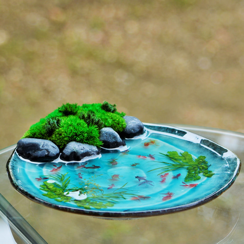 新「三角池の金魚さん」スタンド付き 不思議な苔庭のお皿アート♪ 盆栽