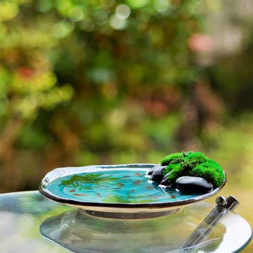 新「三角池の金魚さん」スタンド付き 不思議な苔庭のお皿アート♪ 盆栽