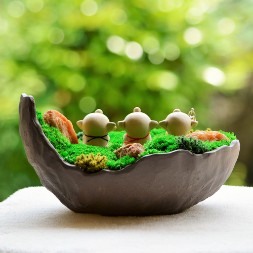 癒しの 苔にわ アート （＾∇＾）