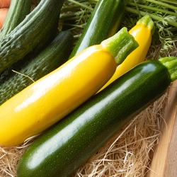 たまごと初夏の野菜セット【8種類・Mサイズ】 2枚目の画像