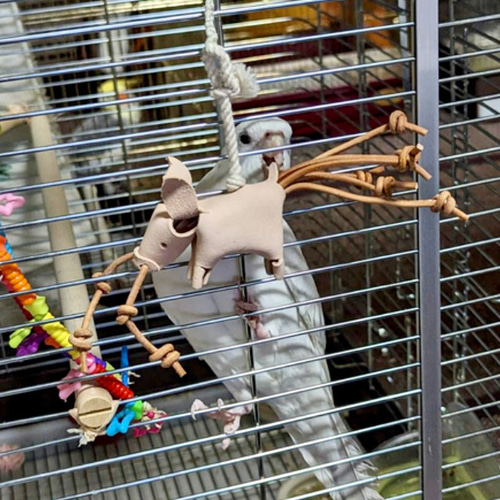 送料無料【本革】レザー❤️ ガシガシ系鳥インコのおもちゃ【鼻血ブー