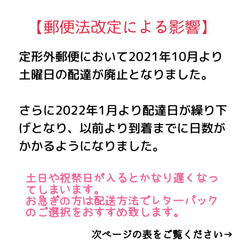 【アシメ】 だるま ピアス 10枚目の画像