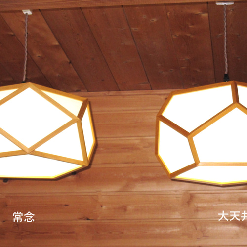 Amazon.com: ZXXHNNAIH Nordic Minimalist Ph5 Pendant Lamp