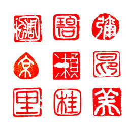 篆刻印お作り致します。 鳥虫篆 篆刻印 オリジナル印お作りします 書道 墨縁(お急ぎ対応