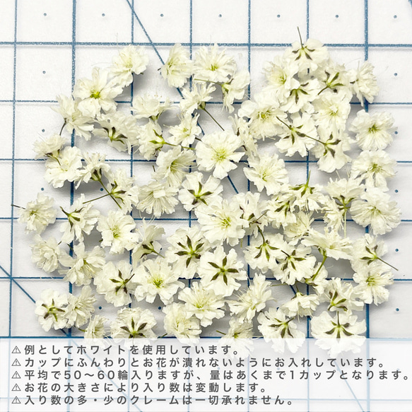 かすみ草　Nホワイト　ドライフラワー　花材　自然色　DIY　ナチュラル 3枚目の画像