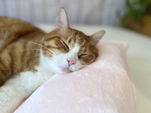 【頭が置ける‼︎】リアルダウンたっぷり使用ペットベッド　＋　ふわふわ専用カバーセット　クッション　犬猫用 3枚目の画像