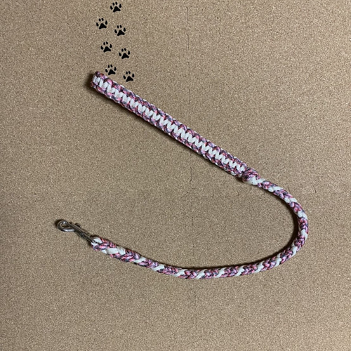 パラコード お散歩リード6本編み 中型犬～大型犬 リード・首輪 moka-r