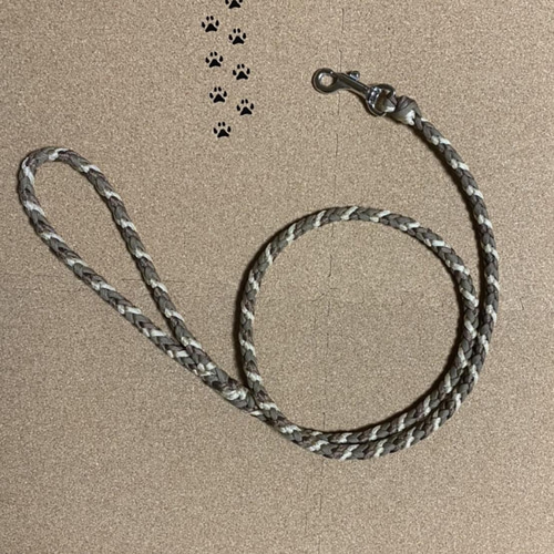パラコード お散歩リード6本編み 中型犬～大型犬 リード・首輪 moka-r
