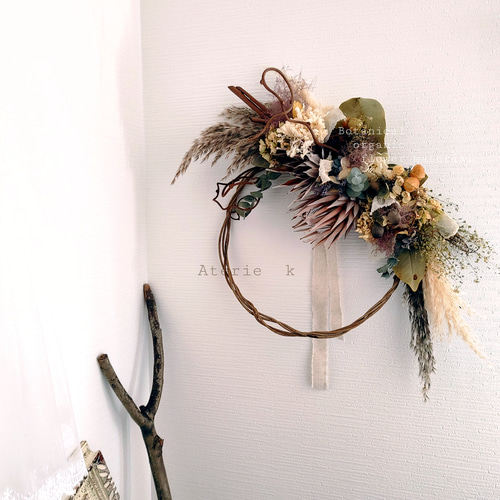 プロテアとユーカリのリース ドライフラワーリースLsize(60cm) プロテア ユーカリ パンパスetc