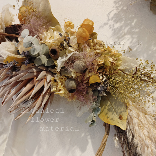 ドライフラワーリースLsize(60cm) プロテア ユーカリ パンパスetc
