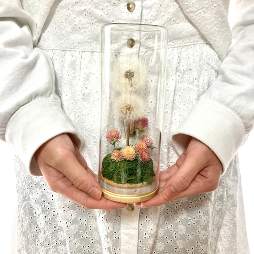 たんぽぽ綿毛の野原ボトル ボトルフラワー ドライフラワーわたげの