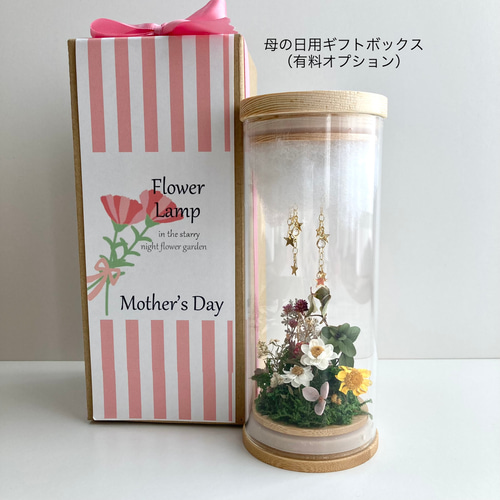 たんぽぽ綿毛の野原ボトル ボトルフラワー ドライフラワーわたげの