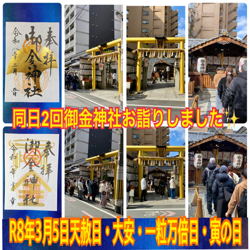 1億円札 純金 鳳凰 百万円の帯封 白蛇 お守りお金 財布 縁起物 帯 虹