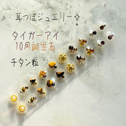 耳つぼジュエリー20粒Xmas限定レッド✧̣̥̇チタン粒 その他アクセサリー