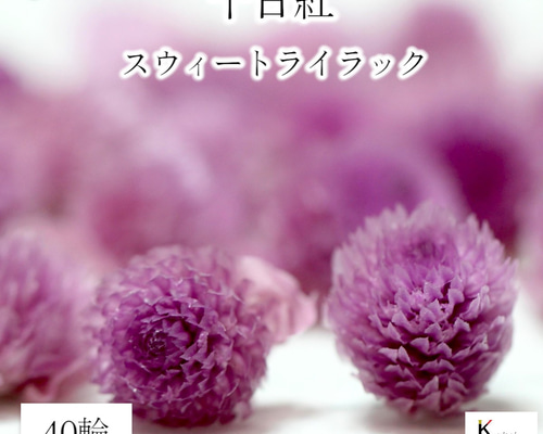 ちびフラワー 大地農園！プリザーブドフラワー 「千日紅 センニチコウ スウィート