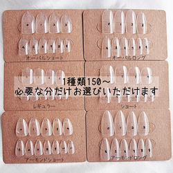 サイズ計測用ネイルチップ ネイルチップ（つけ爪） luna-nail 通販