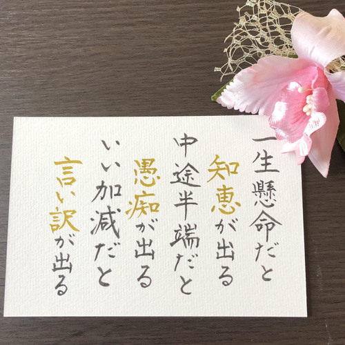 Amazon.co.jp: 四字熟語「七転八起」手書き書道色紙額／受注後の