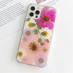 ピンクのコスモス iPhone15Pro/SE/Xperia5V/GALAXYS24 スマホリング 押し花ケース 3枚目の画像