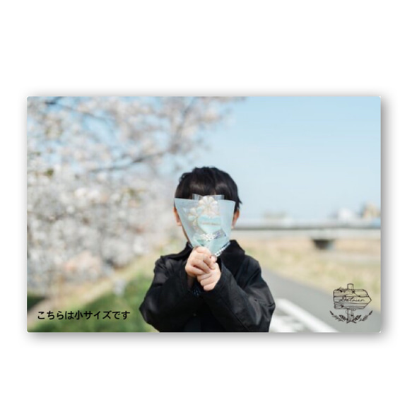 【サイズ・カラーが選べる♩アイシングクッキーブーケ】 11枚目の画像