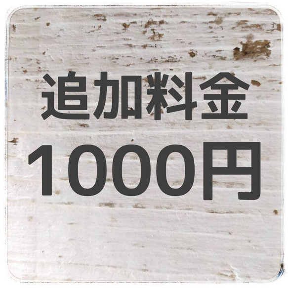 追加料金1000円 1枚目の画像