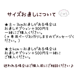 サイズの選び方について 3枚目の画像