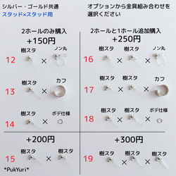 動く城の魔法使い2ホールピアス/ノンホールピアス/イヤーカフ/軟骨ピアス/2連ピアス 5枚目の画像