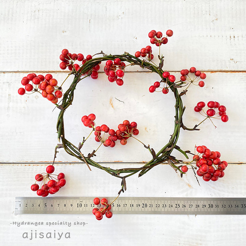 数量限定 】サンキライの実 リース 【ドライフラワー】 ドライフラワー