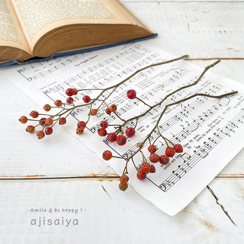 2025年産新入荷 】 野ばらの実 摘み小枝 【ドライフラワー】 野バラの