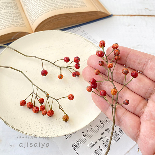 2025年産新入荷 】 野ばらの実 摘み小枝 【ドライフラワー】 野バラの