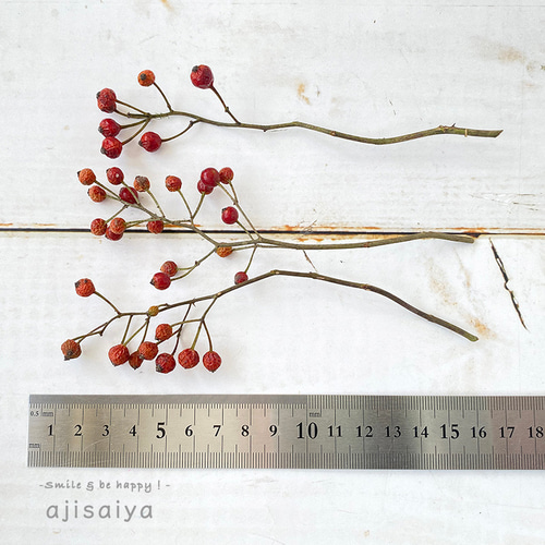 2025年産新入荷 】 野ばらの実 摘み小枝 【ドライフラワー】 野バラの