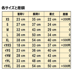  第9張的照片