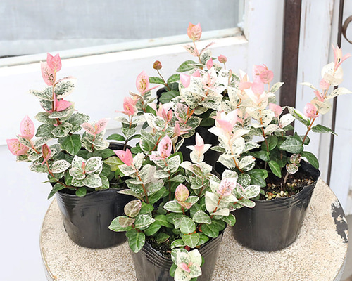 72513bb666d56e9b236d3a7956f827