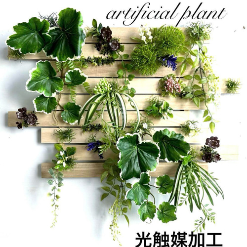光触媒加工 除菌消臭ウォールグリーン フェイクグリーン 格子3 多肉