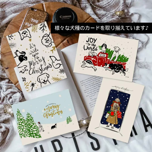 ポストカード2枚【小さなぬくもり】ポメラニアン チワワ 犬 クリスマス