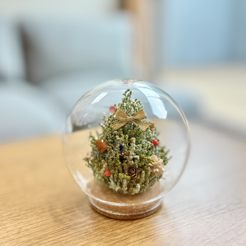 ☆ 超早割クリスマス2025☆早割クリスマス2025☆クリスマスツリーの