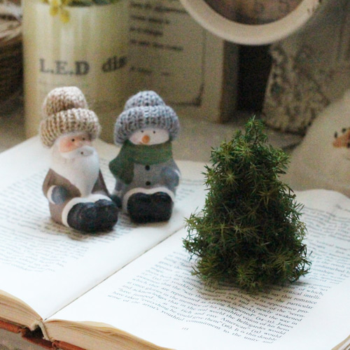 シンプルなスギのミニツリー プリザーブドフラワー petit chocolat