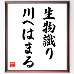 名言「生物識り川へはまる」額付き書道色紙／受注後直筆（Z7185） 1枚目の画像