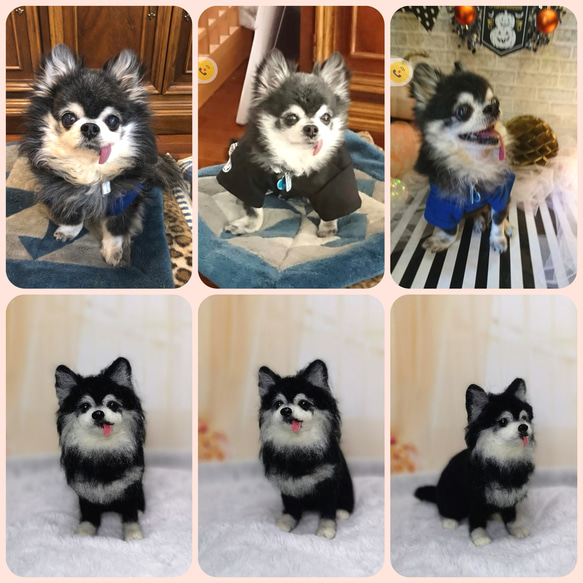 ☆愛犬オーダーメイド☆うちの子　羊毛フェルト　ハンドメイド　メモリアル　いぬ　ペット　オブジェ　ペットロス　犬　イヌ 13枚目の画像