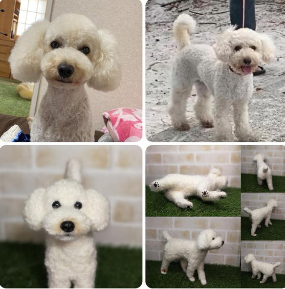 ☆愛犬オーダーメイド☆うちのこ　羊毛フェルト　ハンドメイド　メモリアル　いぬ　ペット　供養　ペットロス　犬　イヌ　用品 #いぬのきもち F2267776977(17480円)