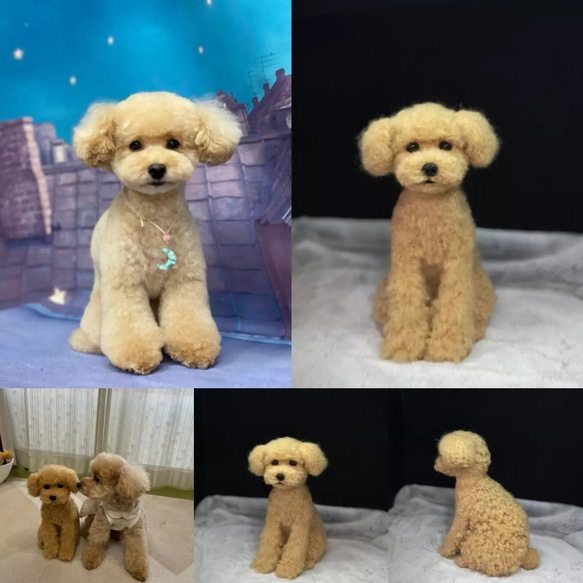 ☆愛犬オーダーメイド☆うちの子　羊毛フェルト　ハンドメイド　メモリアル　いぬ　ペット　オブジェ　ペットロス　犬　イヌ 7枚目の画像