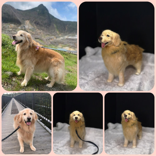 メモリアル羊毛ペット うちの子オーダー 羊毛フェルト ペット 犬